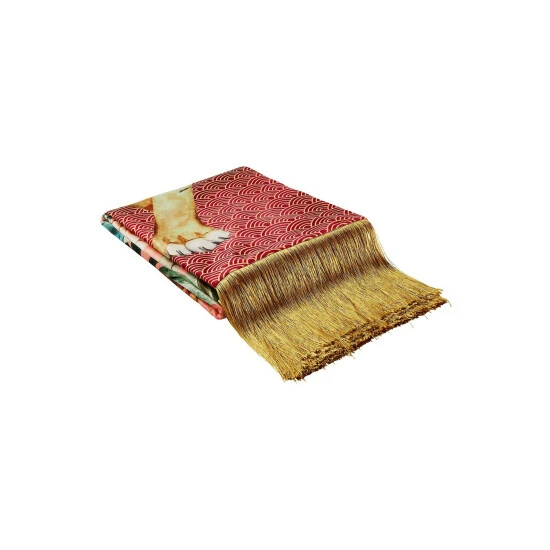 Joe Browns Multi Tantalizing Tiger Fringed Velvet Throw 3 Joe Browns Multi Tantalizing Tiger Fringed Velvet Throw - Image 3